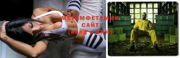 шишки Верея