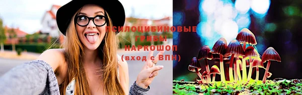 МДПВ Верхний Тагил
