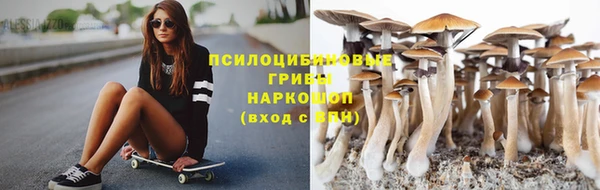 шишки Верея