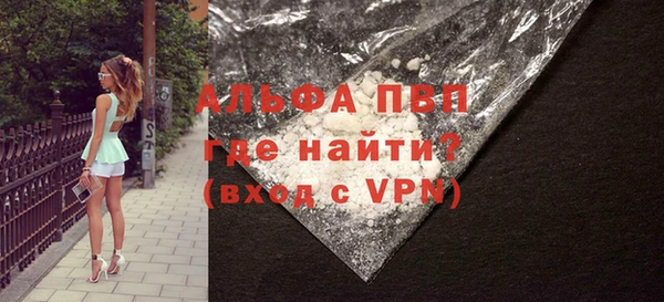 шишки Верея