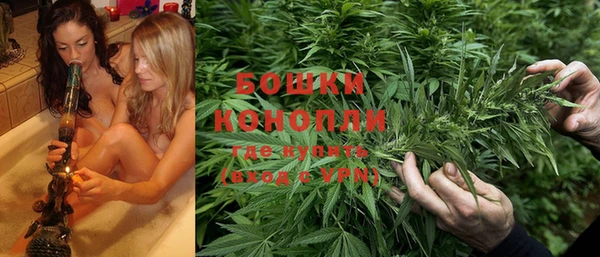 шишки Верея