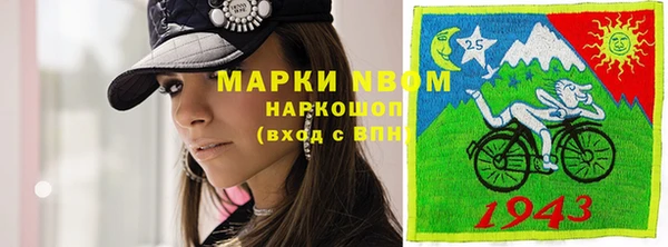 шишки Верея