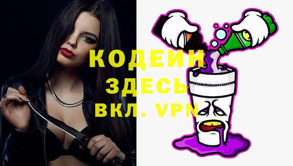 шишки Верея