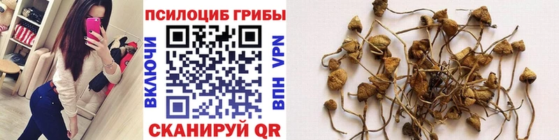 Галлюциногенные грибы Magic Shrooms  Павловск 