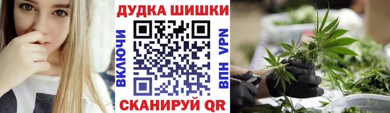 где найти наркотики  Павловск  МАРИХУАНА AK-47 
